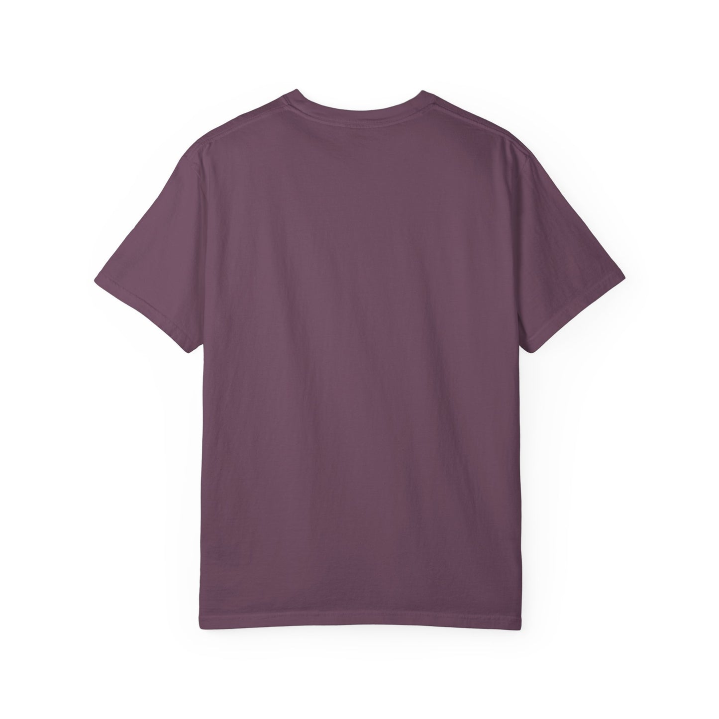 'I ❤️ My Haters' T-Shirt